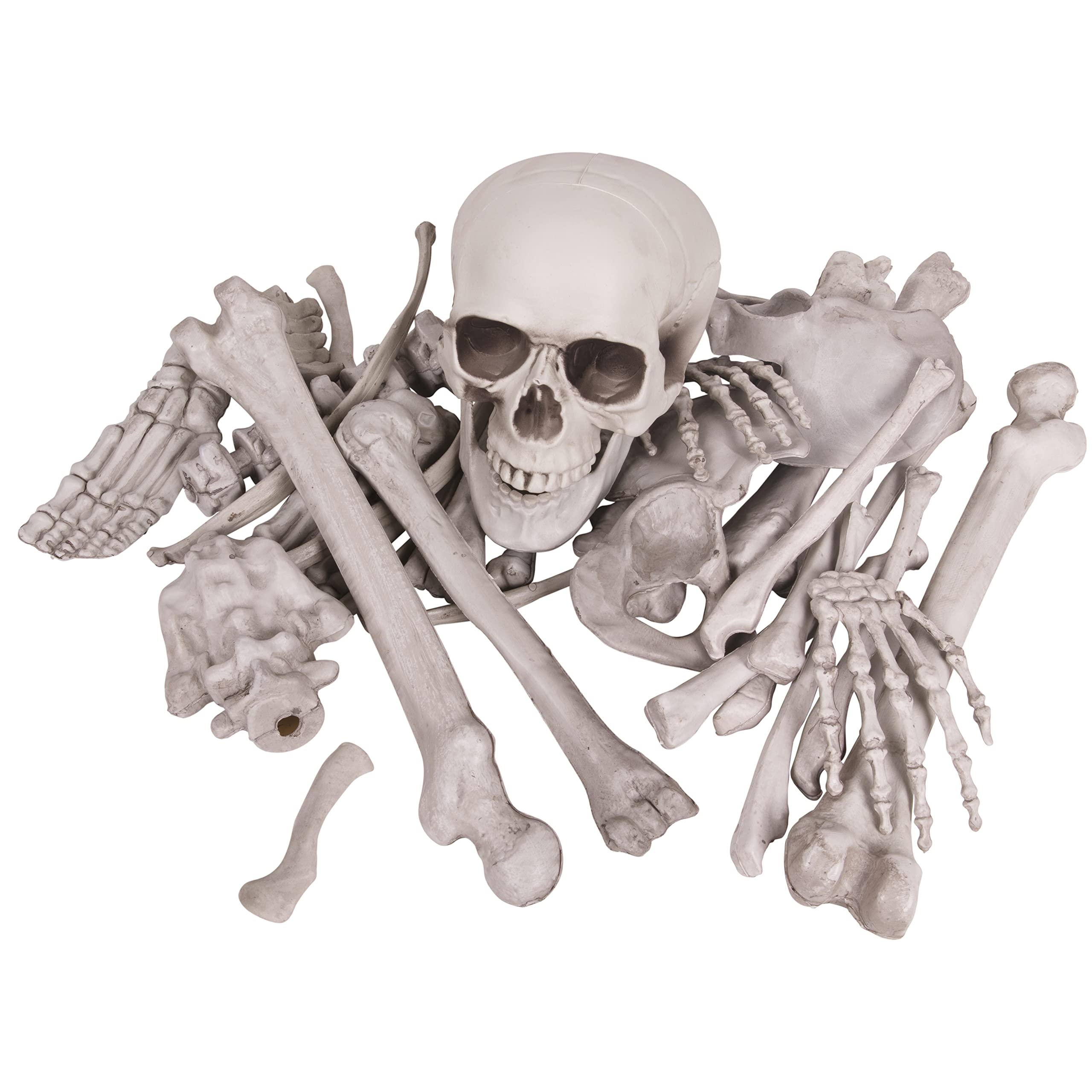 Kangaroo front packaging showing 30-piece skull and bone set, easy display