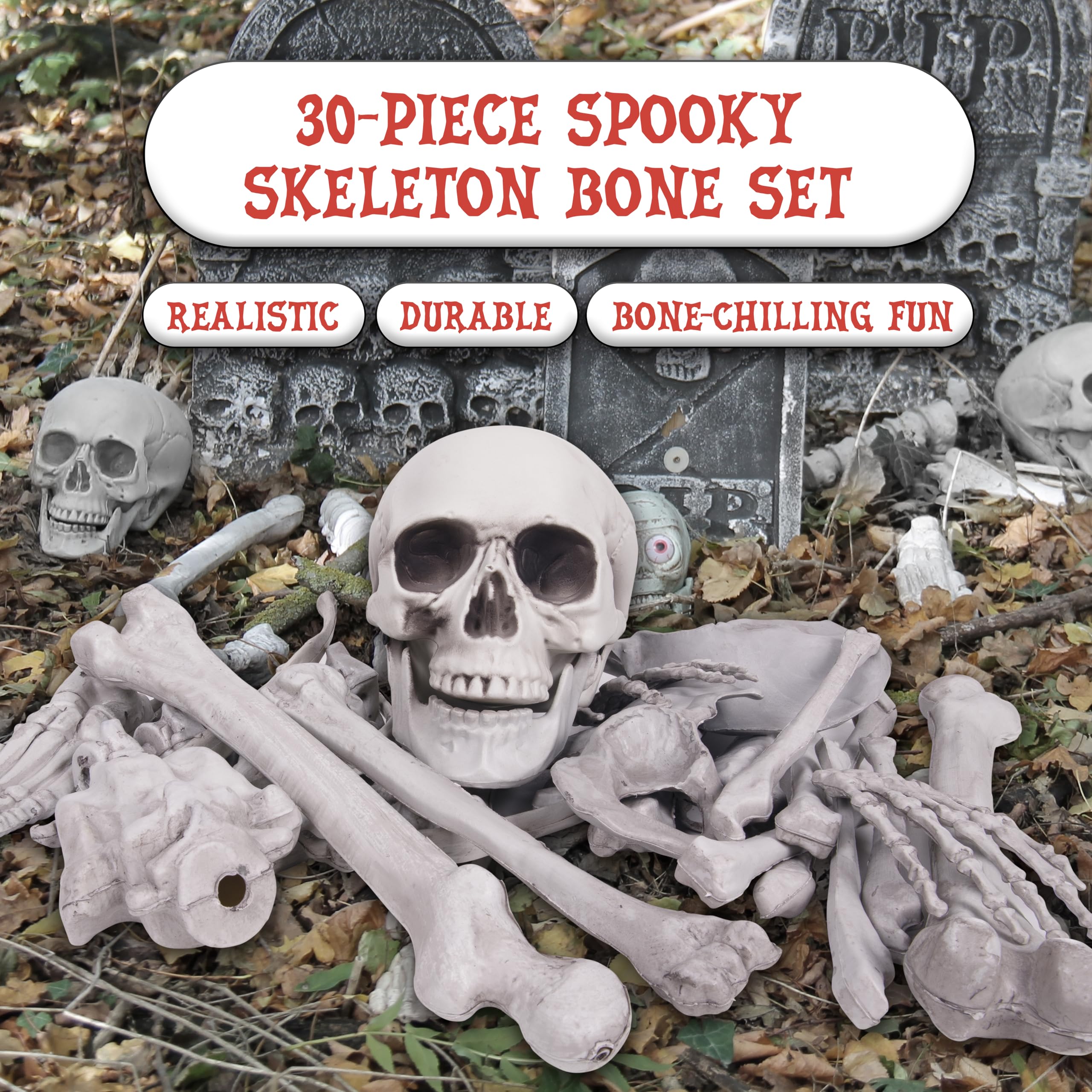 Kangaroo bones next to ruler showing scale and size variety benefit