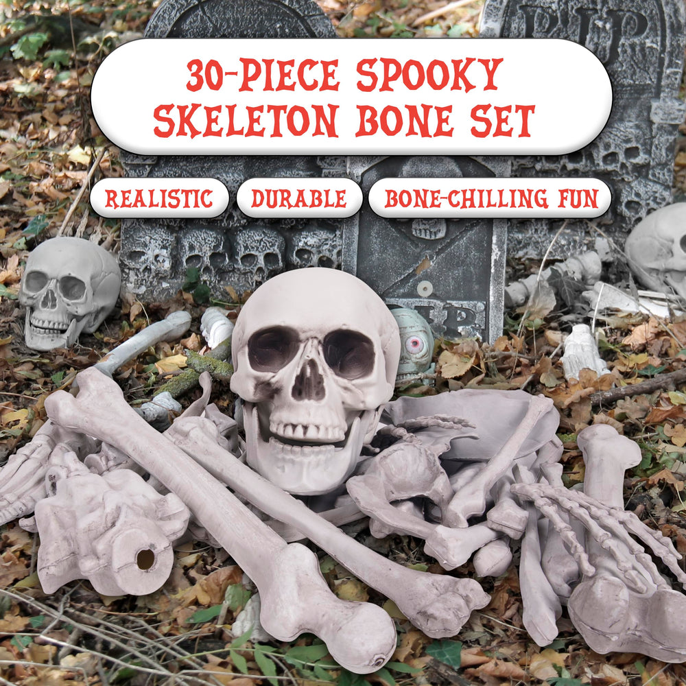 Kangaroo bones next to ruler showing scale and size variety benefit