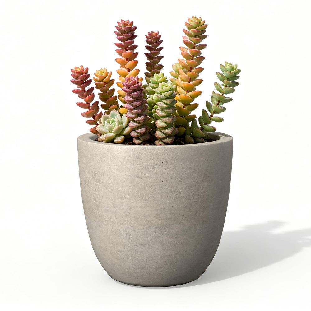 Kante 18-inch front view showing modern round shape and neutral grey finish for curb appeal