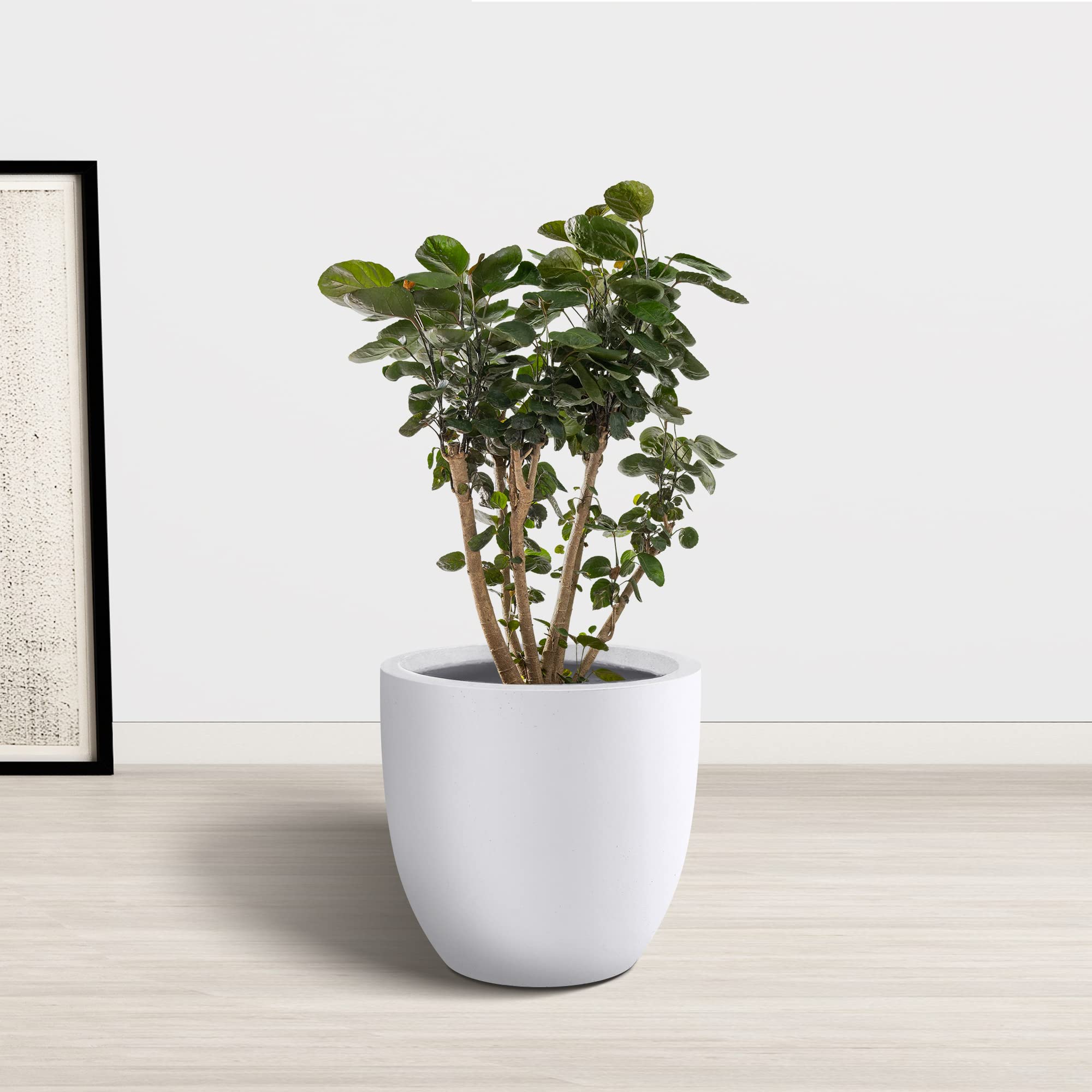Kante packaging and label presenting ecofriendly manufacturing benefit