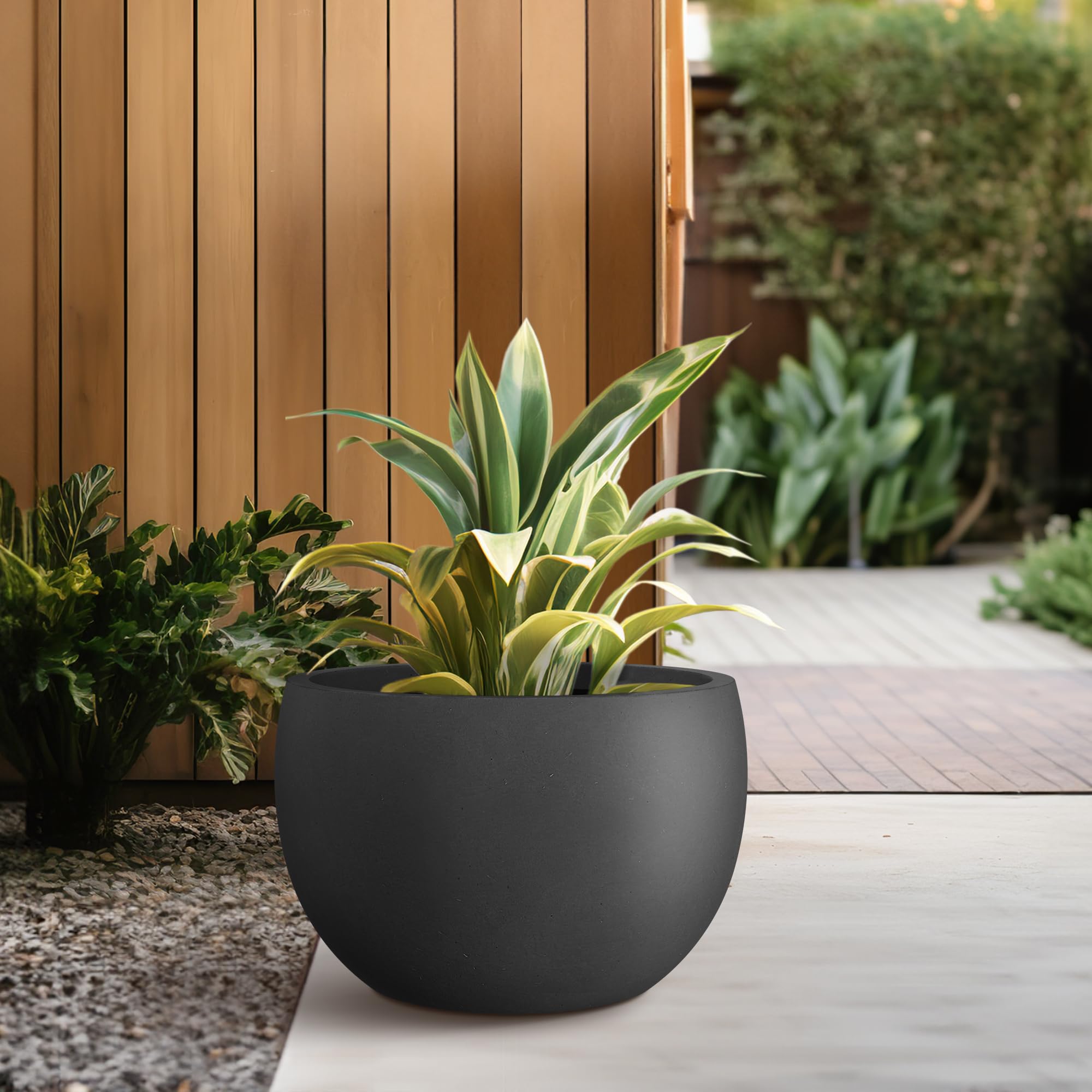 Kante planted with succulents demonstrating ample space and healthy display