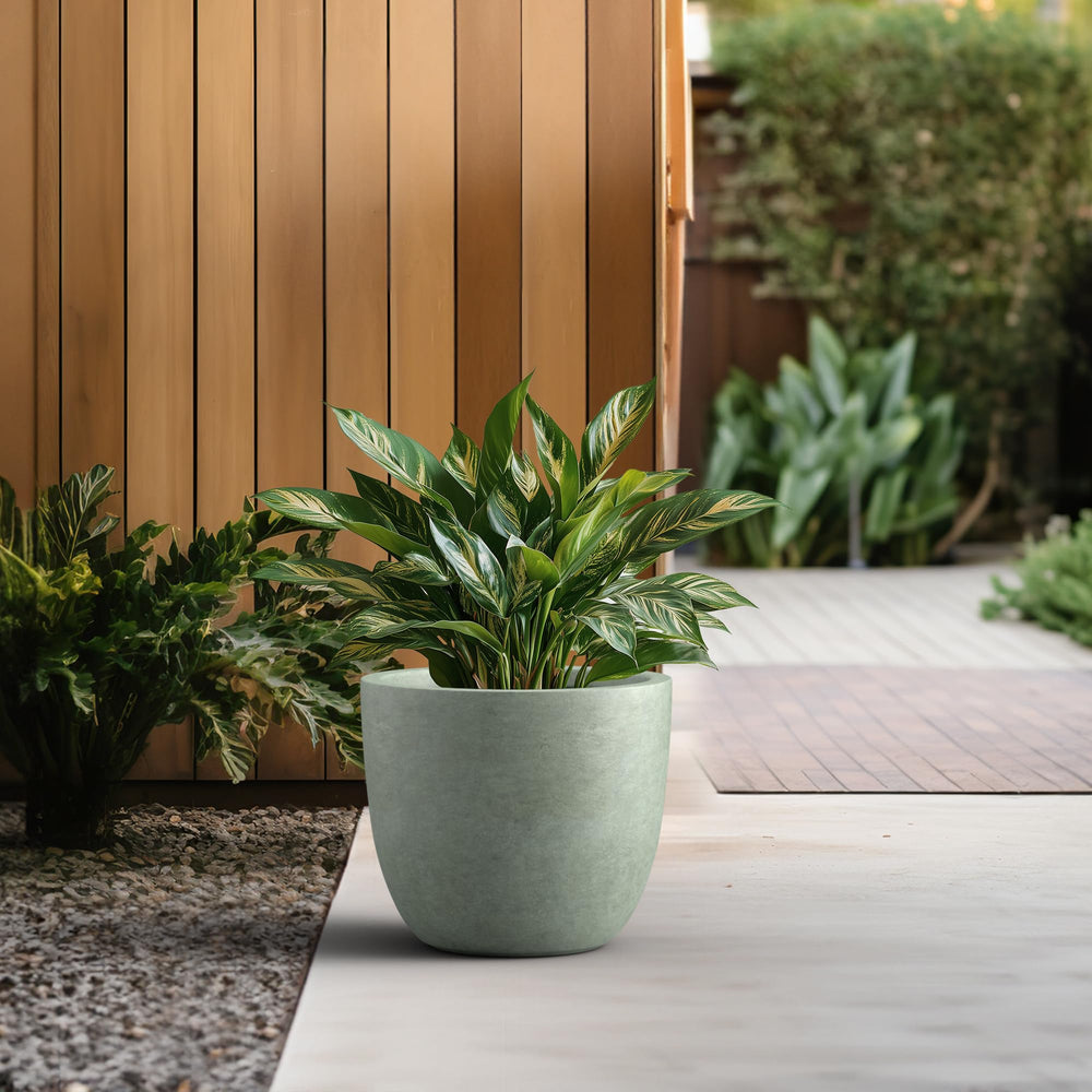 Kante side profile showing bowl curvature and sturdy build benefits