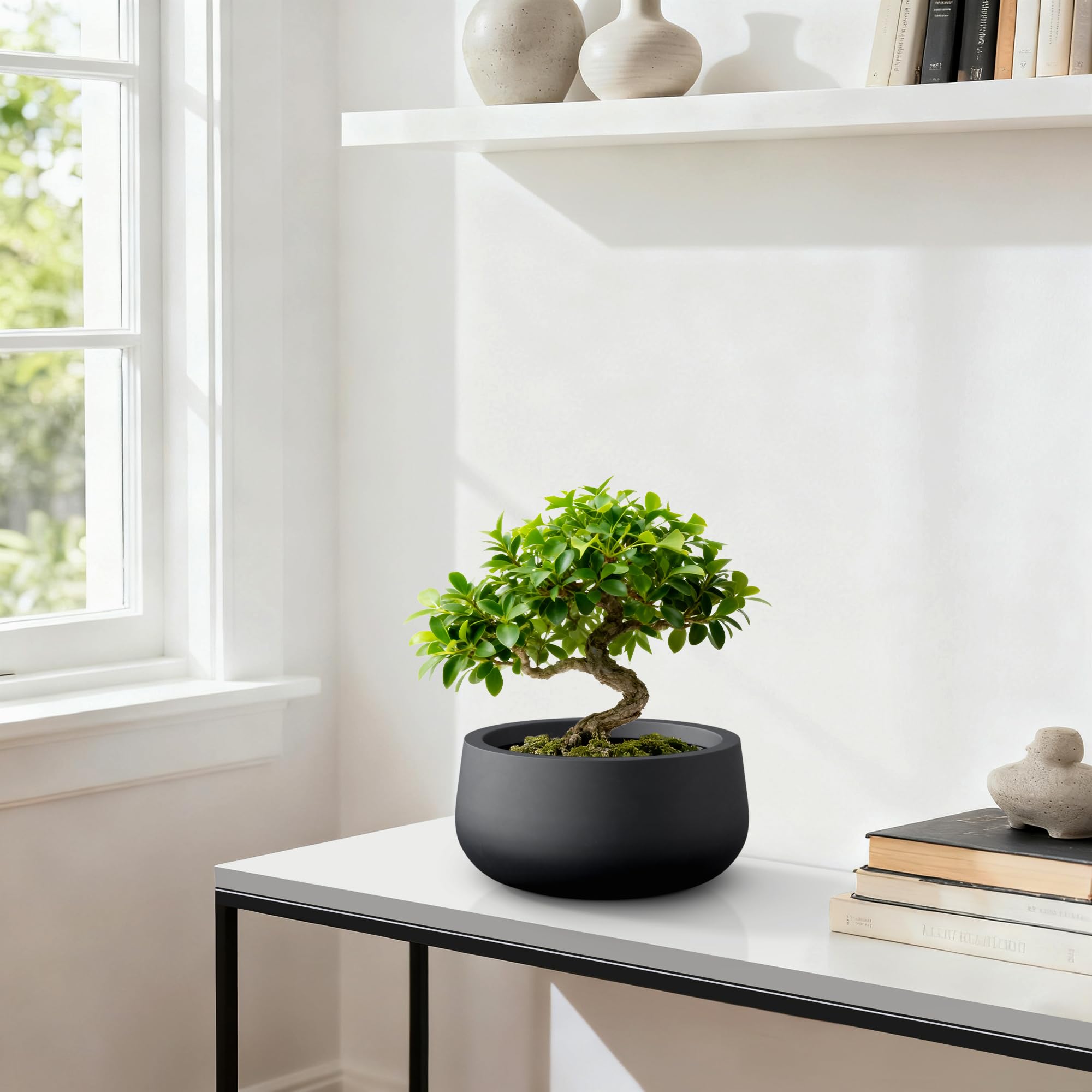 Kante planter filled with succulents on a shelf, boosts indoor greenery appeal