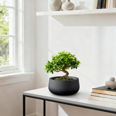 Kante planter filled with succulents on a shelf, boosts indoor greenery appeal