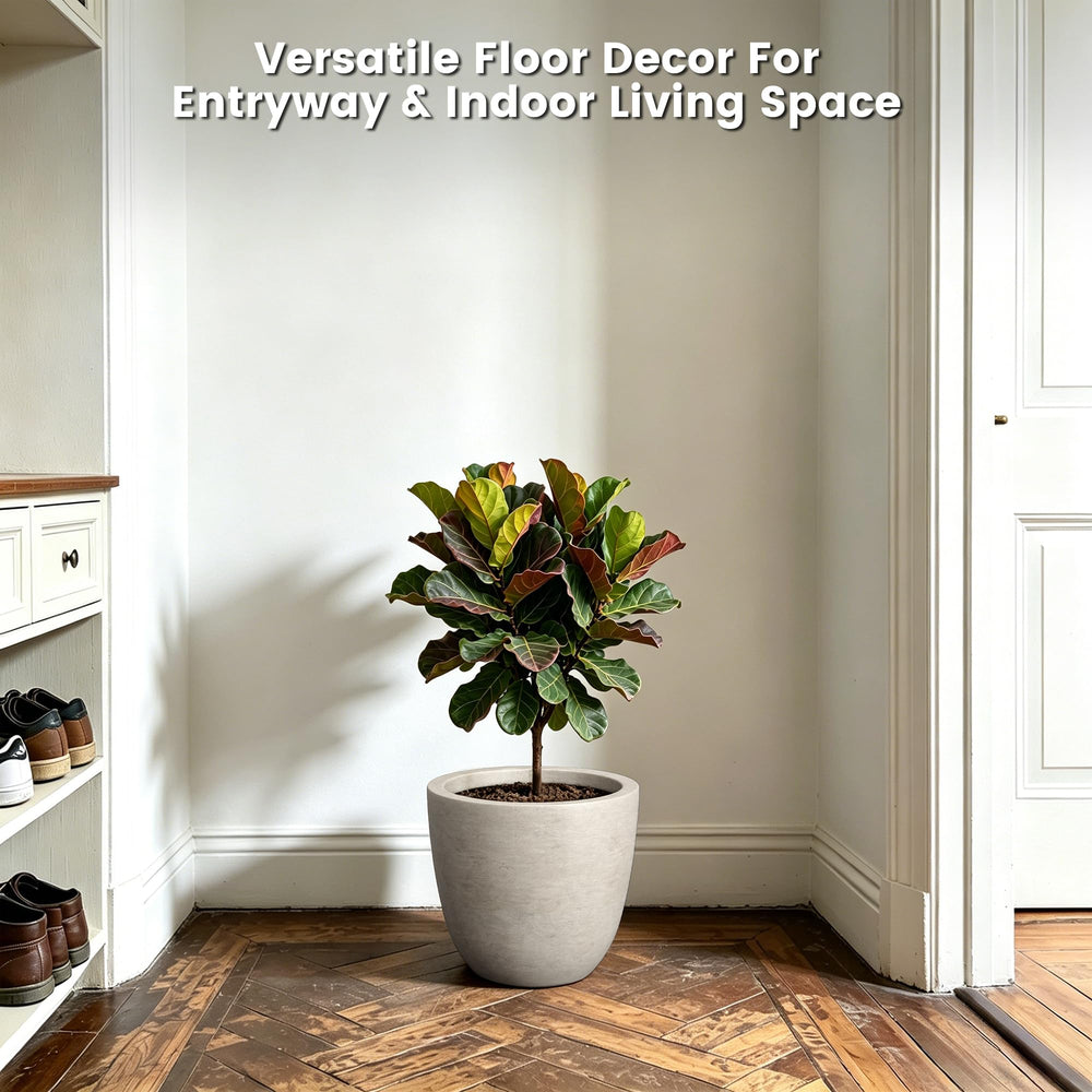 Kante planter with snake plant demonstrating ample room and visual appeal