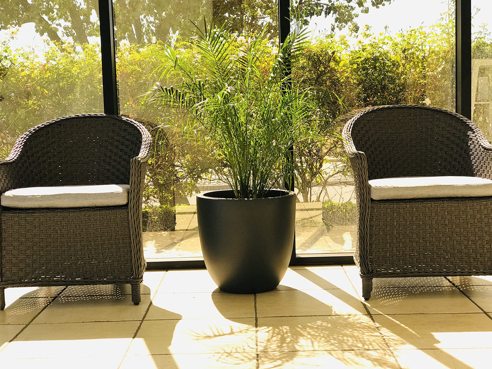Kante planter on patio with mixed plants adding contemporary curb charm