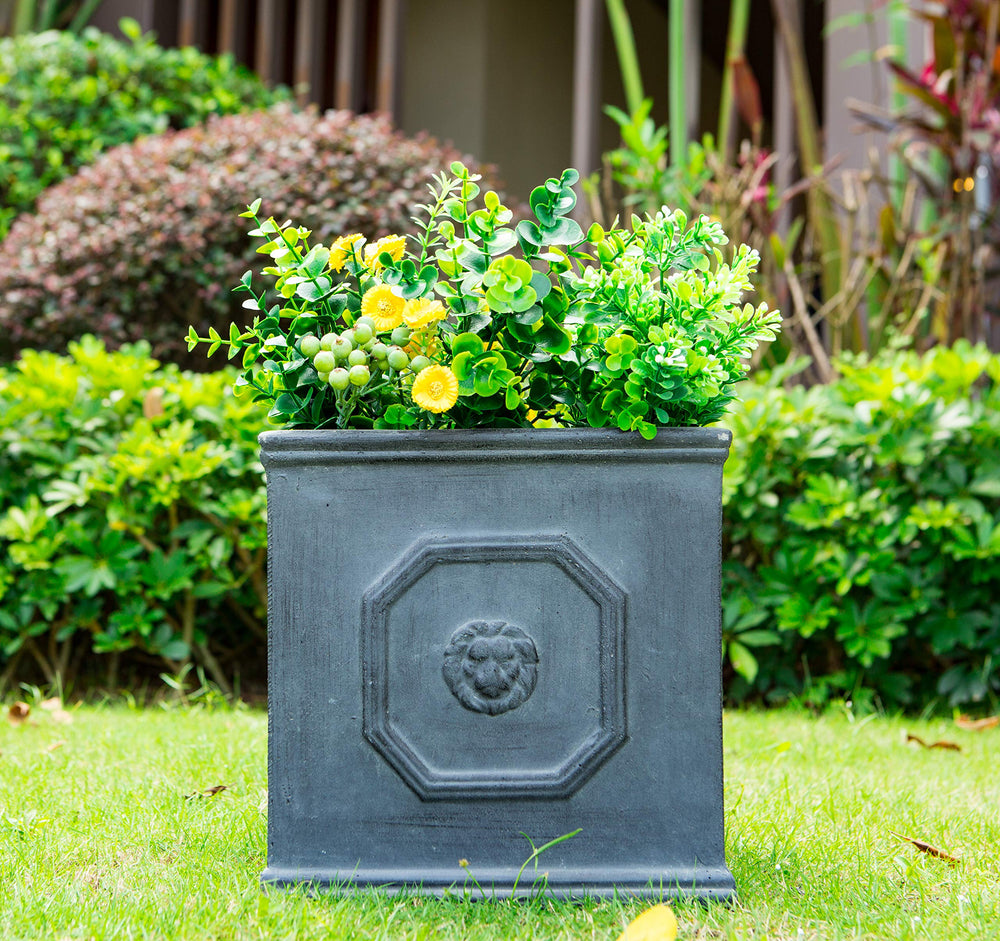 kante close-up lion head emboss showcasing sculptural detail and charm