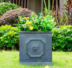 kante close-up lion head emboss showcasing sculptural detail and charm