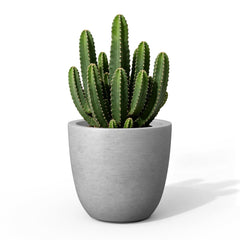Kante front view pale gray planter showing clean silhouette and neutral decor benefit