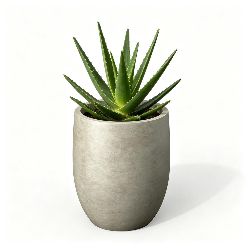 Kante front view of planter showing curved silhouette and durable finish