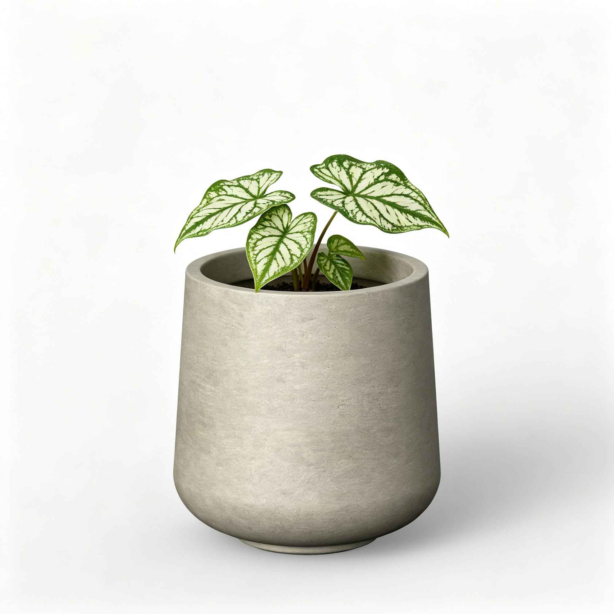 Kante front view of weathered concrete planter showing modern curb appeal
