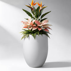 Kante front view of planter showing elegant white concrete look and curb appeal