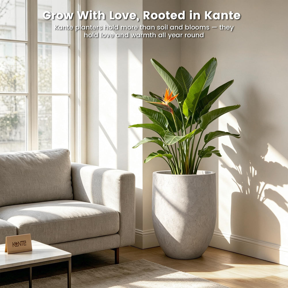 Kante grouping three planters on patio display illustrating cohesive design