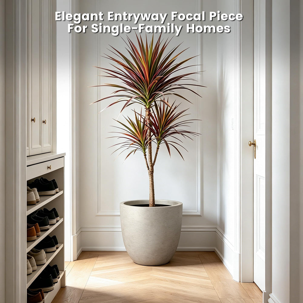 Kante planter in balcony display with lush plants demonstrating space-saving style