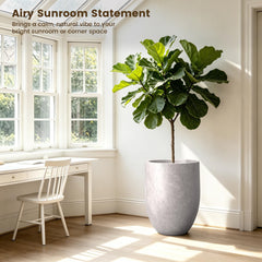Kante in use with fiddle leaf fig showing strong root space benefit