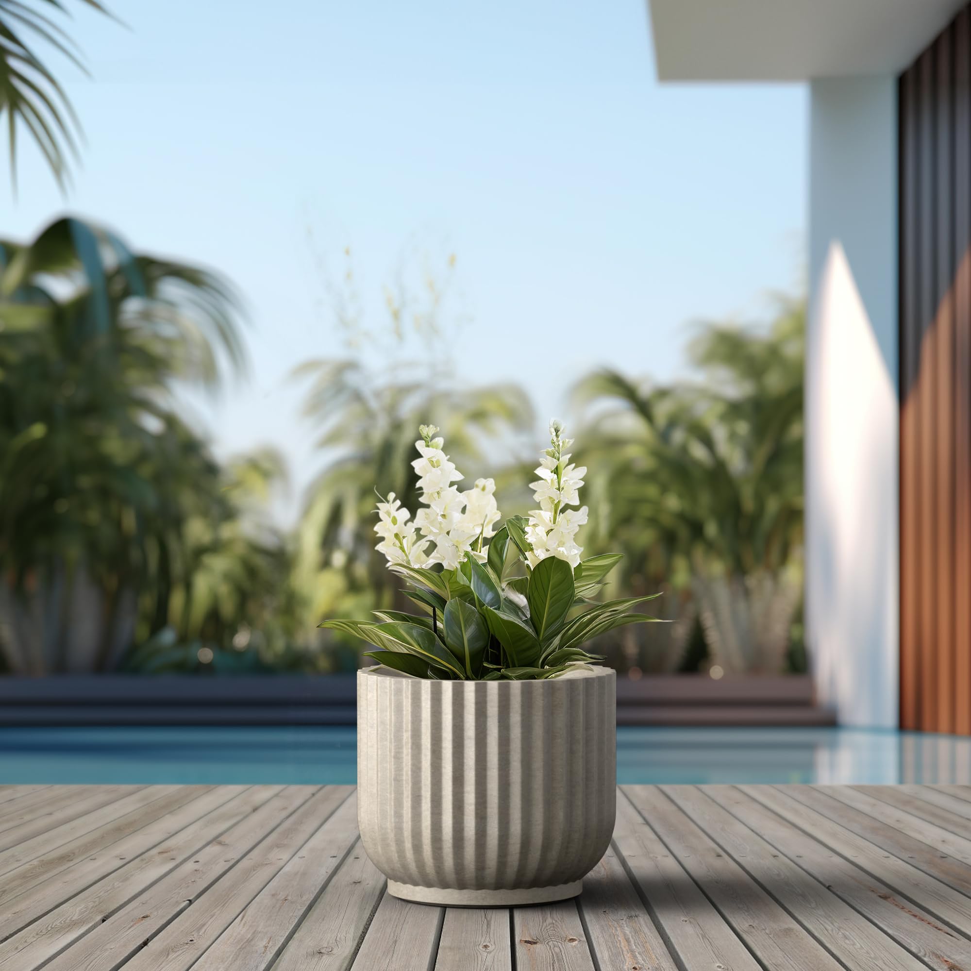 Kante on a porch with plants illustrating outdoor styling and curb appeal