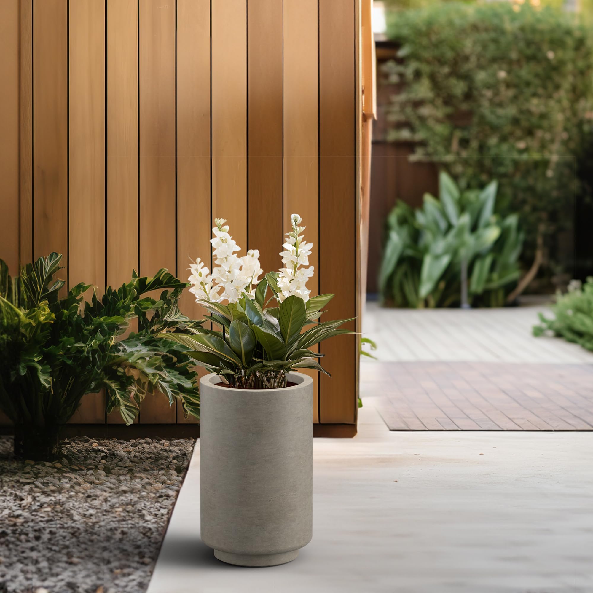 Kante painted interior detail emphasizing subtle tint and plant contrast