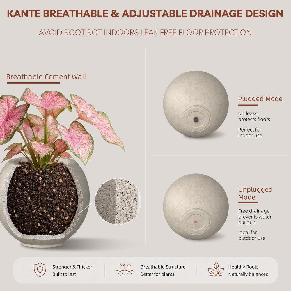 kante painted interior detail highlighting clean contrast with plants
