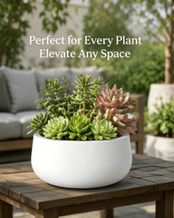 Kante planter filled with succulents demonstrating attractive low-profile display