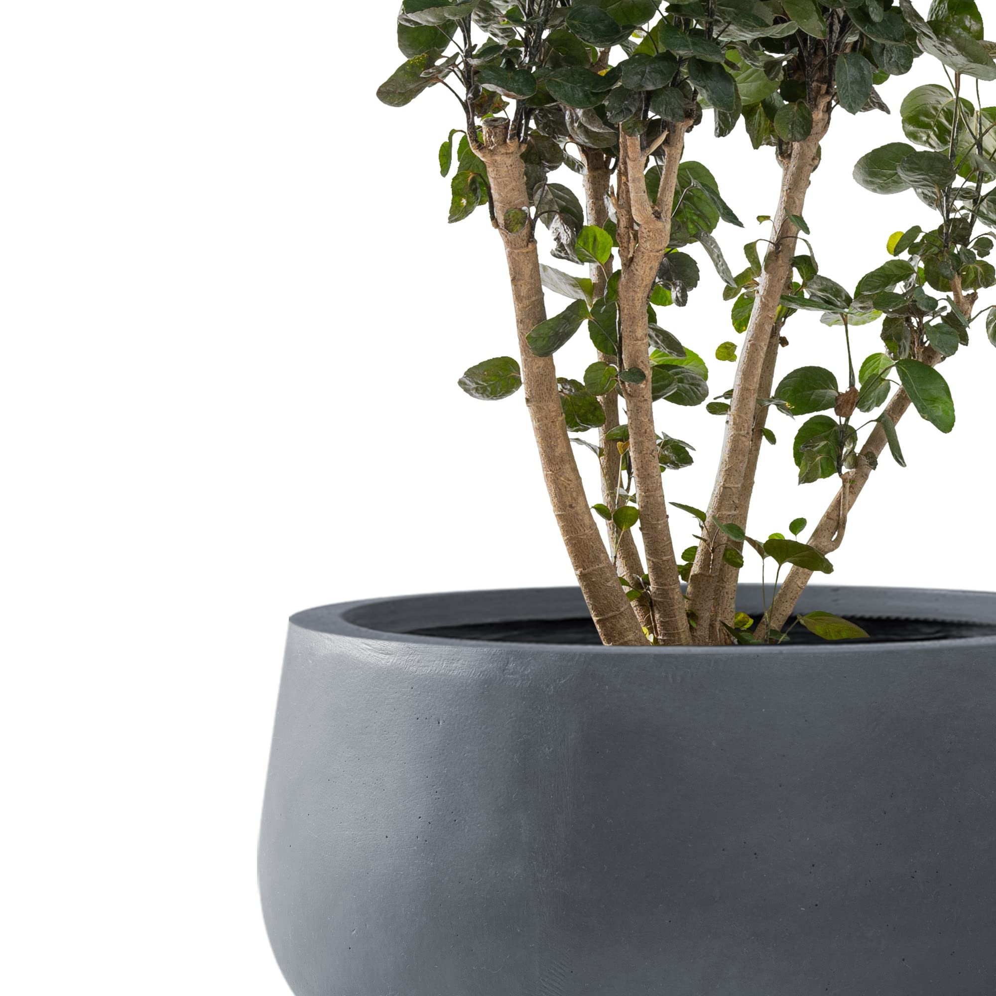 Kante 16-inch planter side profile demonstrating smooth lines and durability