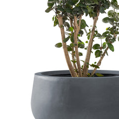 Kante 16-inch planter side profile demonstrating smooth lines and durability