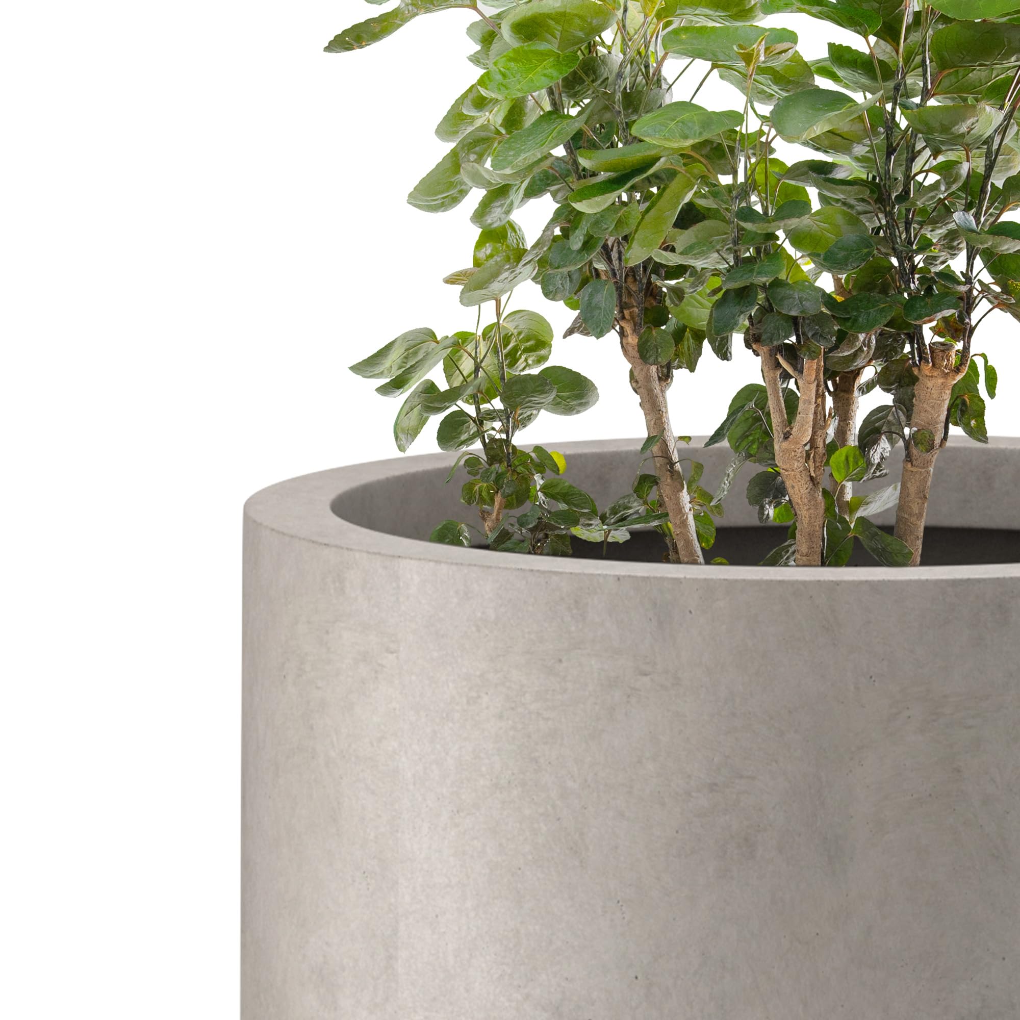 Kante planter rim and pore detail close-up highlighting handcrafted finish and authenticity
