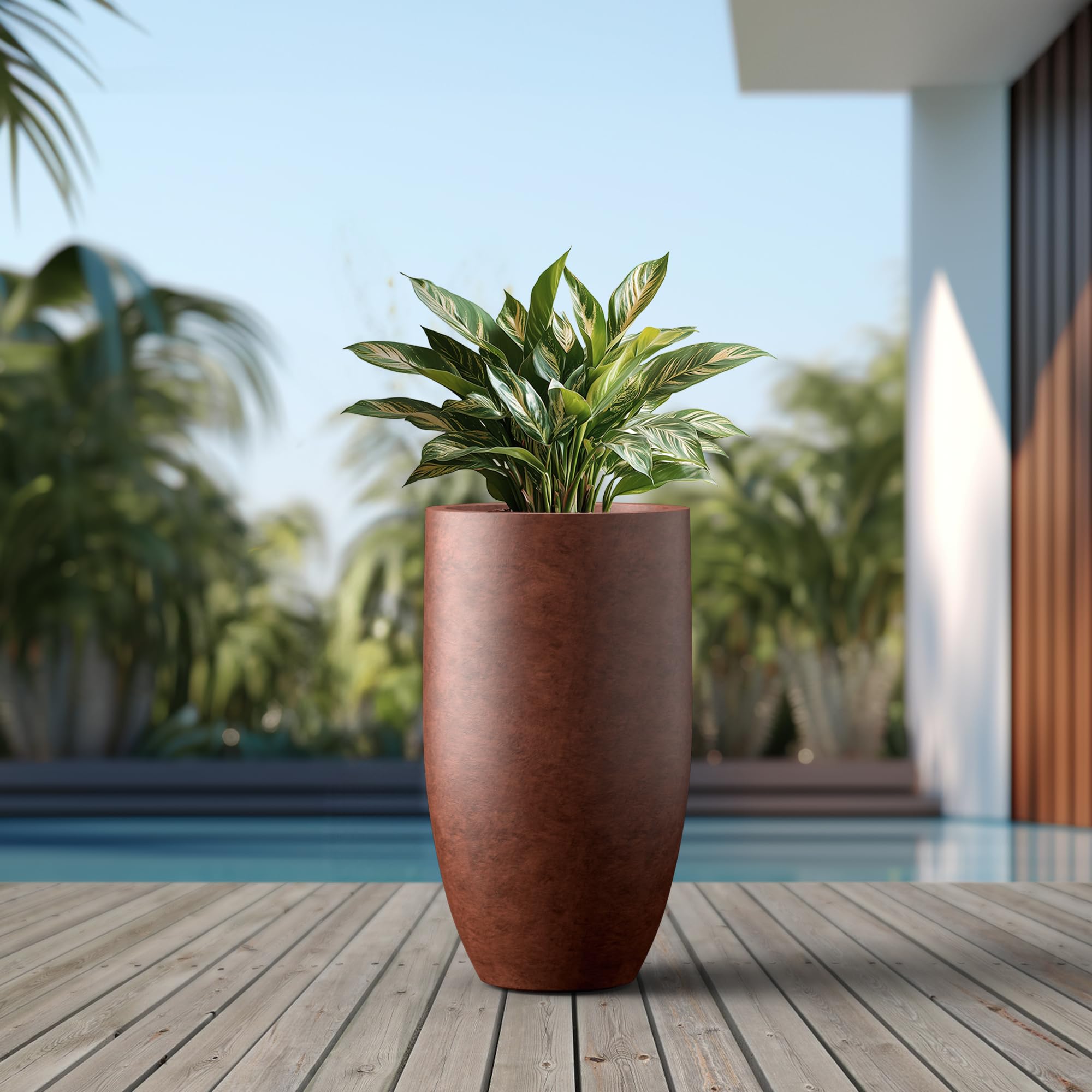 Kante planter filled with succulents demonstrating decorative appeal and healthy display