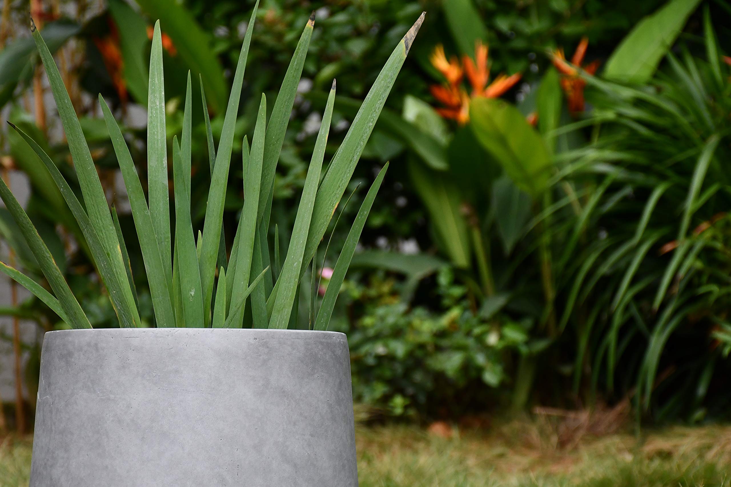 Kante planters grouped in a row showing cohesive design for unified displays