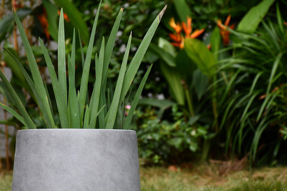 Kante planters grouped in a row showing cohesive design for unified displays