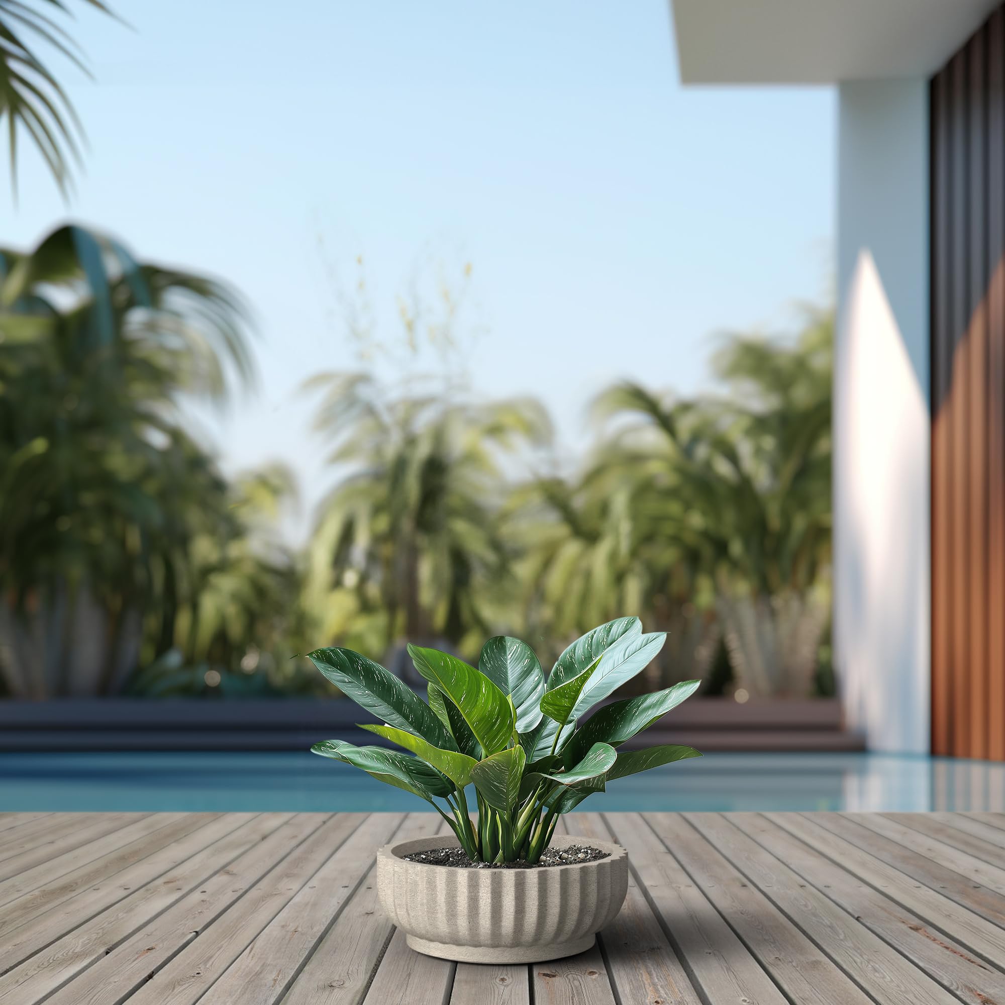 Kante planter on patio with succulents showing benefit of weather-resistant outdoor use