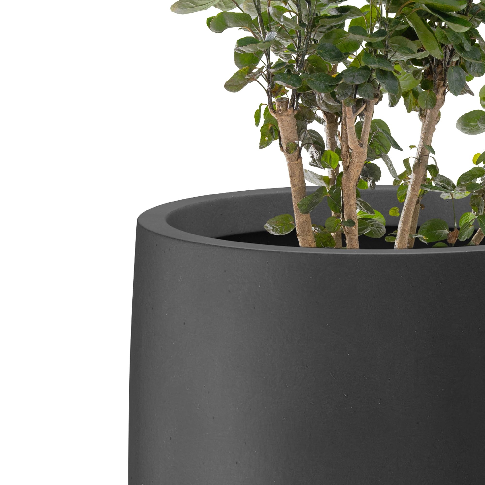 Kante planter on balcony lifestyle shot showing weather resistance and curb appeal