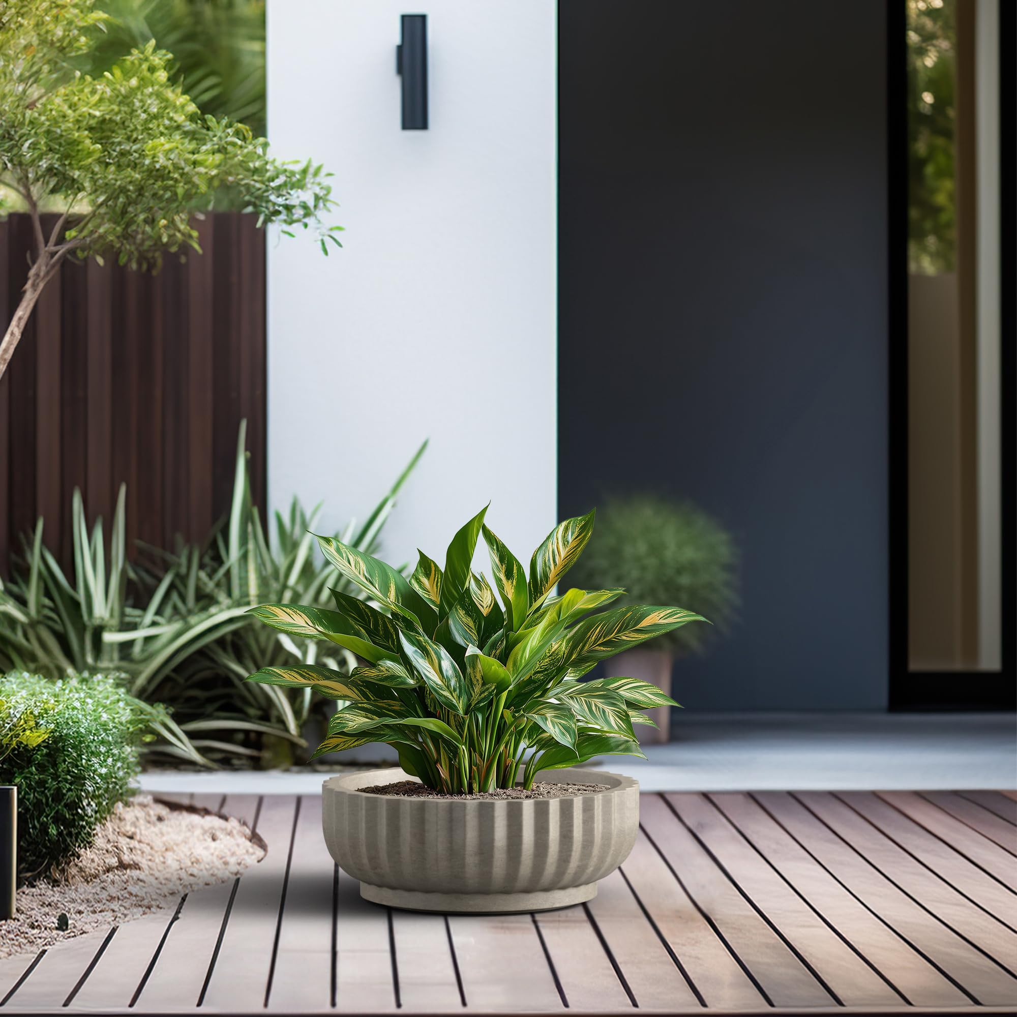 Kante planter beside a ruler for scale showing benefit of 14.6-inch planting space