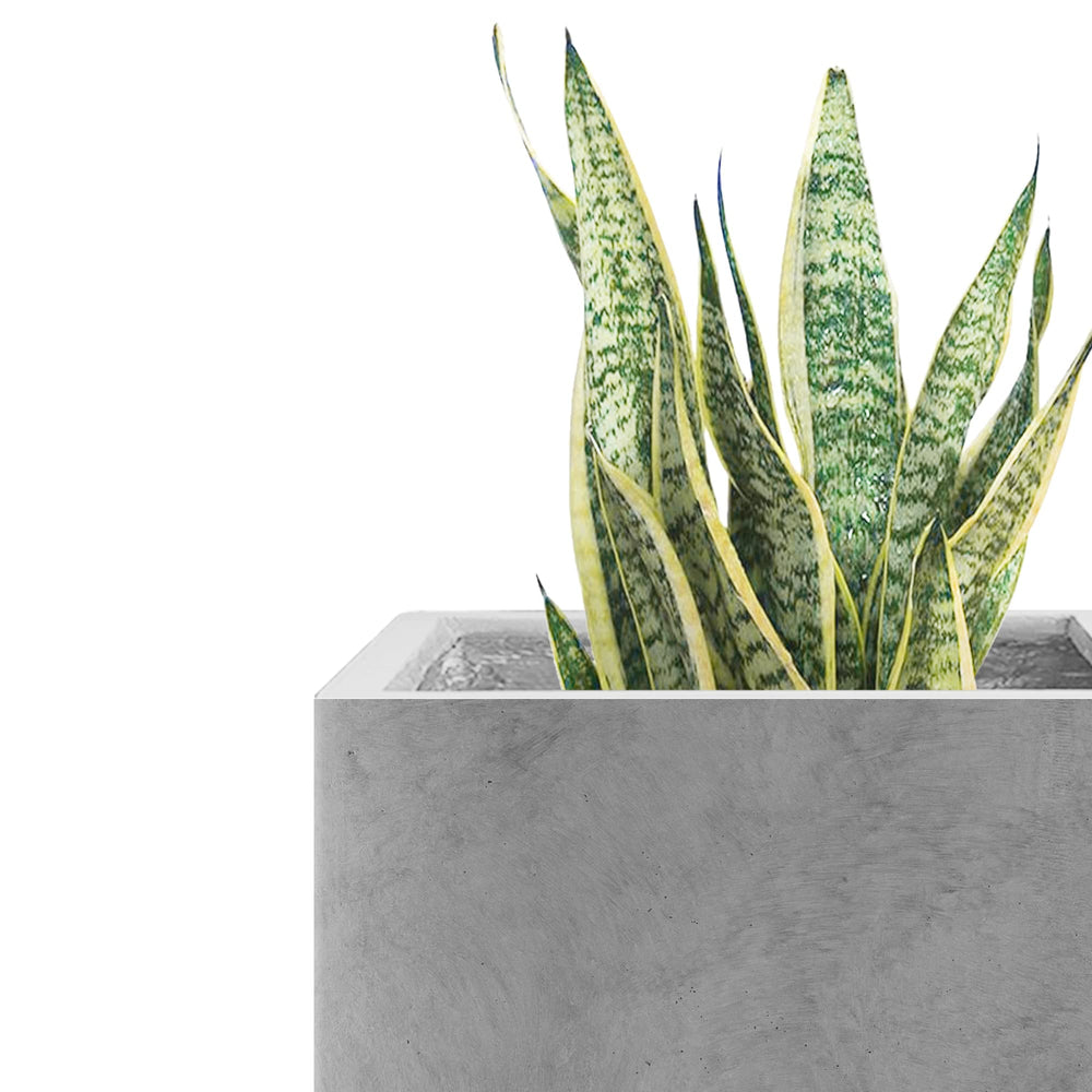 Kante close-up of concrete texture highlighting authentic pores and tactile finish