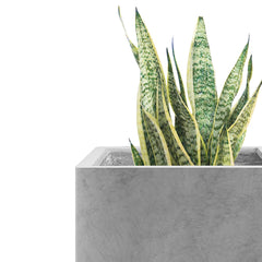 Kante close-up of concrete texture highlighting authentic pores and tactile finish