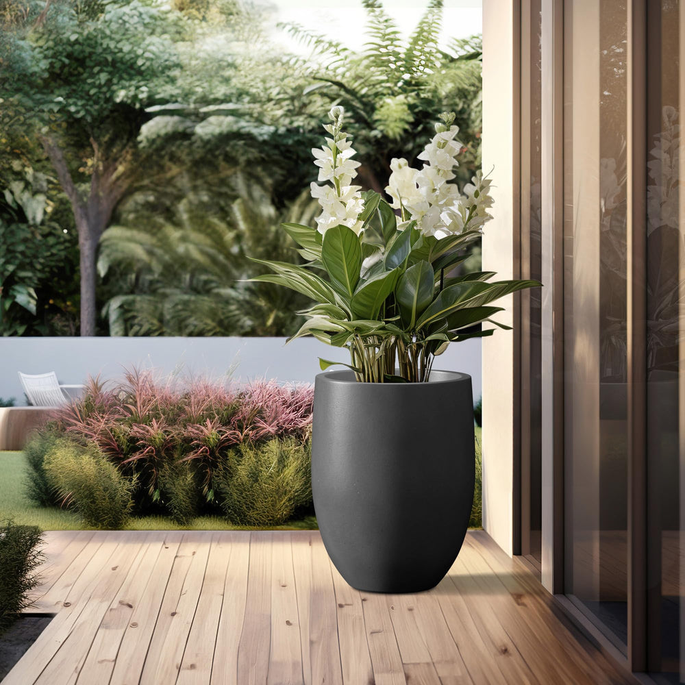 Kante planter with fiddle leaf fig showing roomy interior for large plant growth