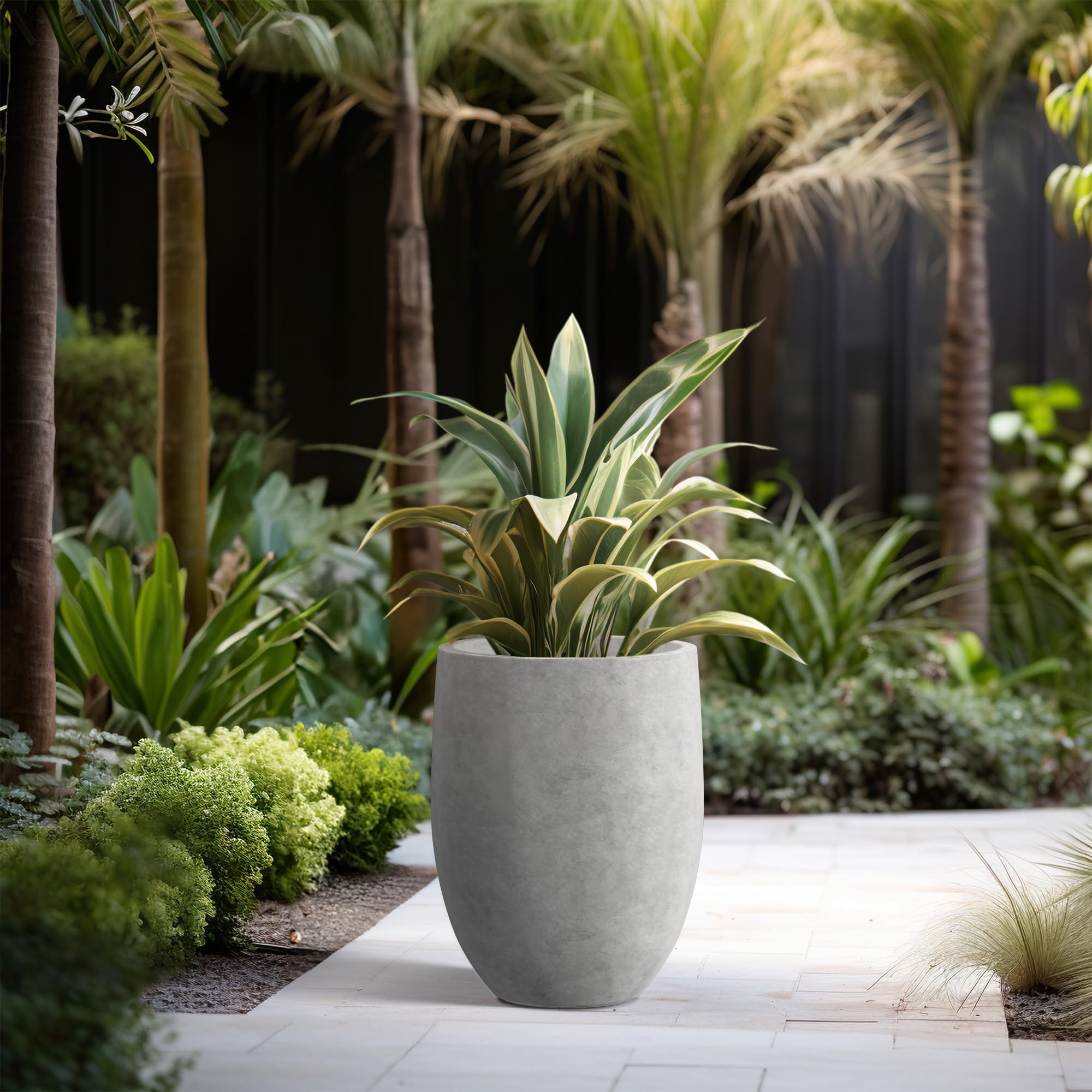 Kante planter with small olive tree illustrating patio focal-point benefit