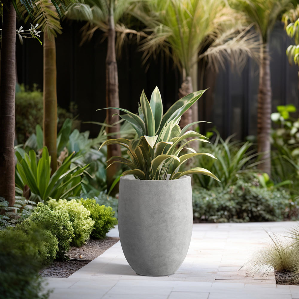 Kante planter with small olive tree illustrating patio focal-point benefit