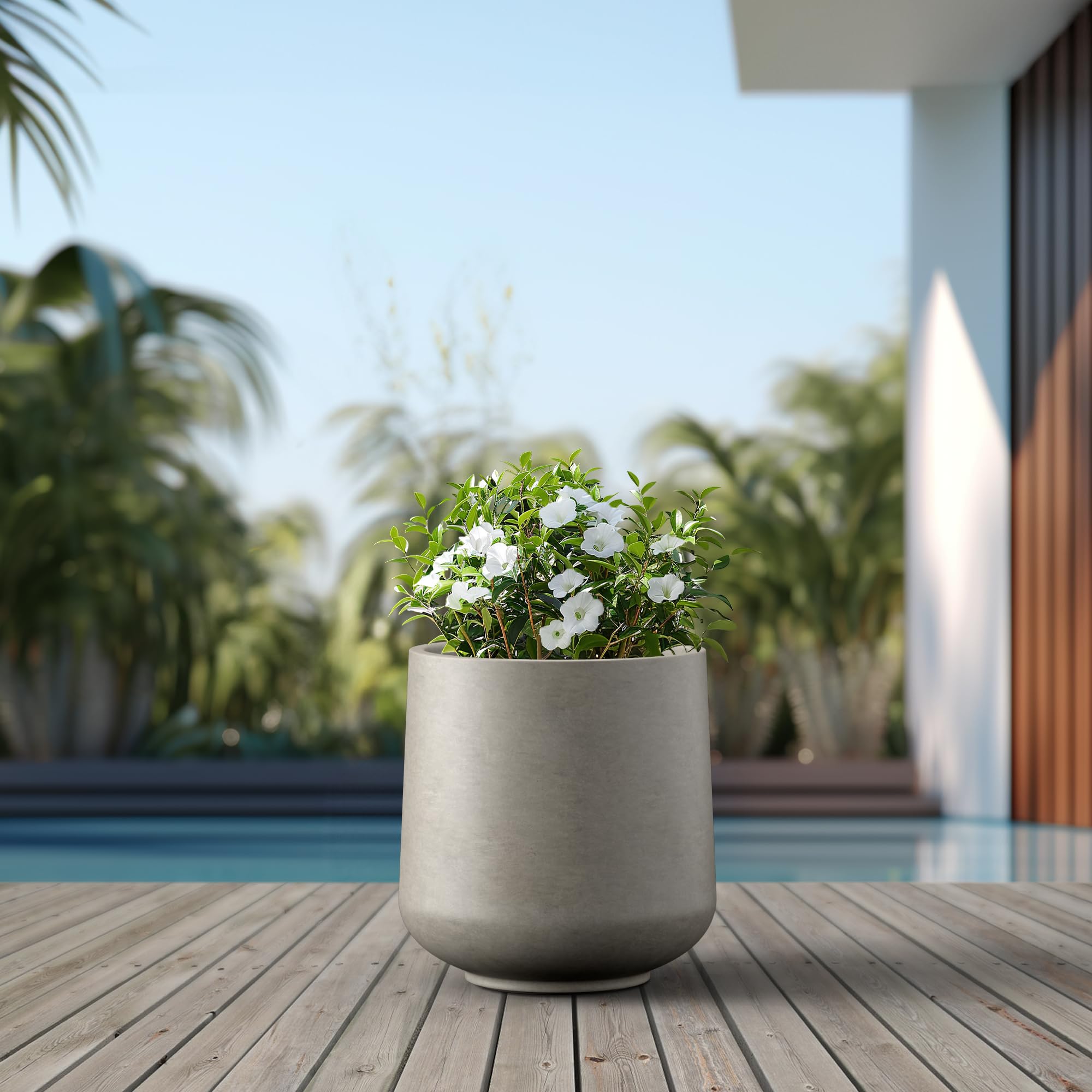 Kante planter with olive tree staged providing generous planting space