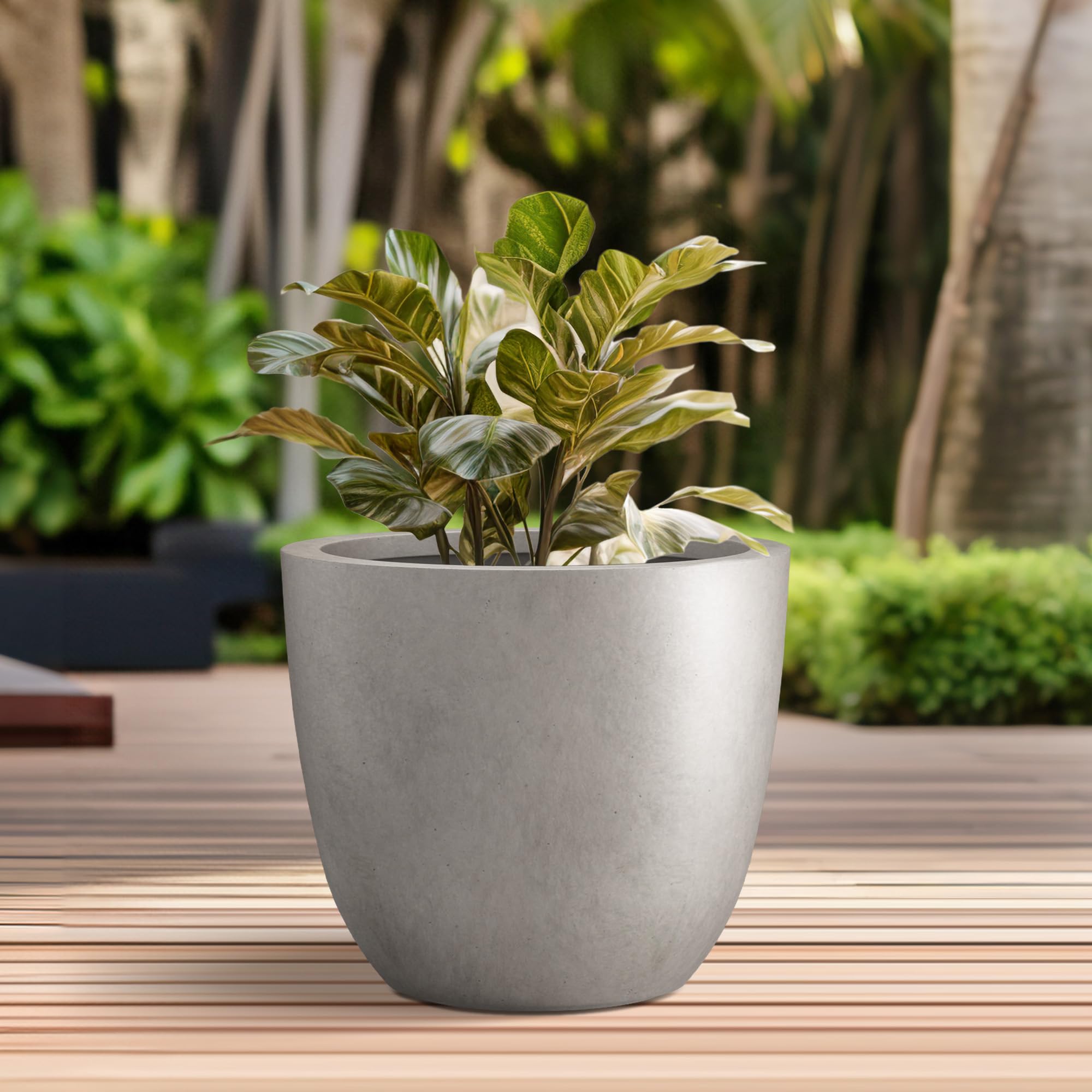 Kante planted with succulents showing healthy arrangement and decorative benefit
