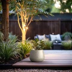 Kante planter holding succulents demonstrating versatile planting and visual interest
