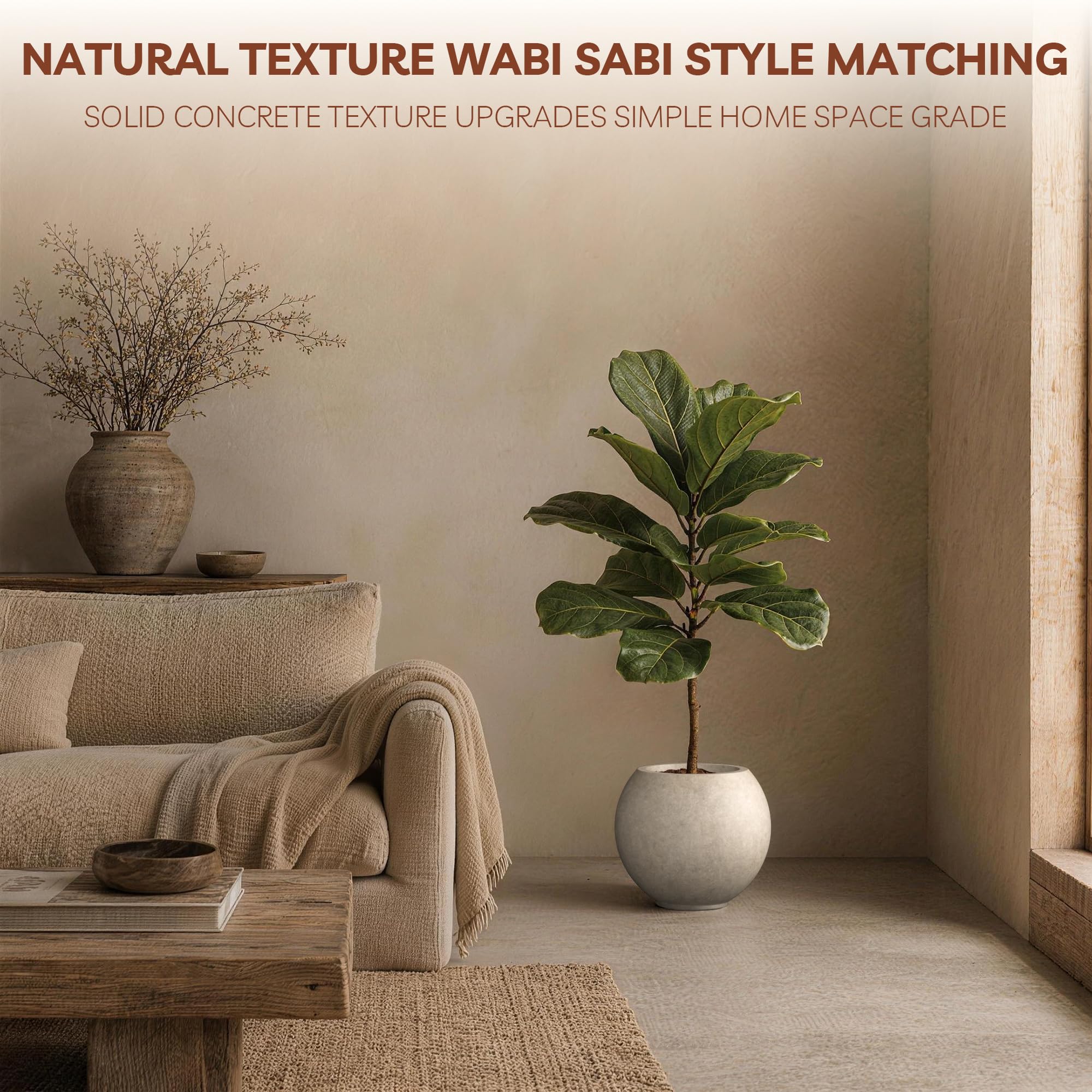 kante planter in use with succulent demonstrating decorative impact