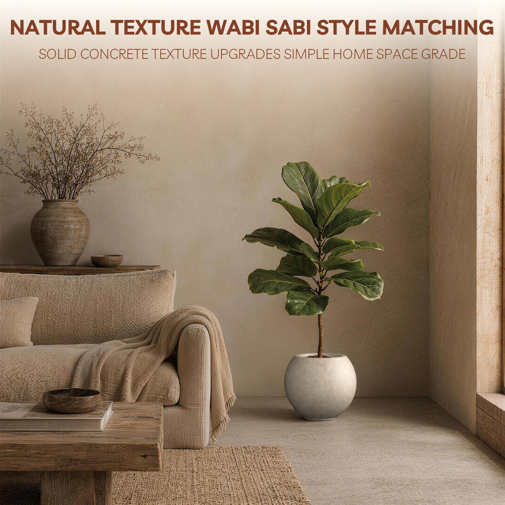 kante planter in use with succulent demonstrating decorative impact