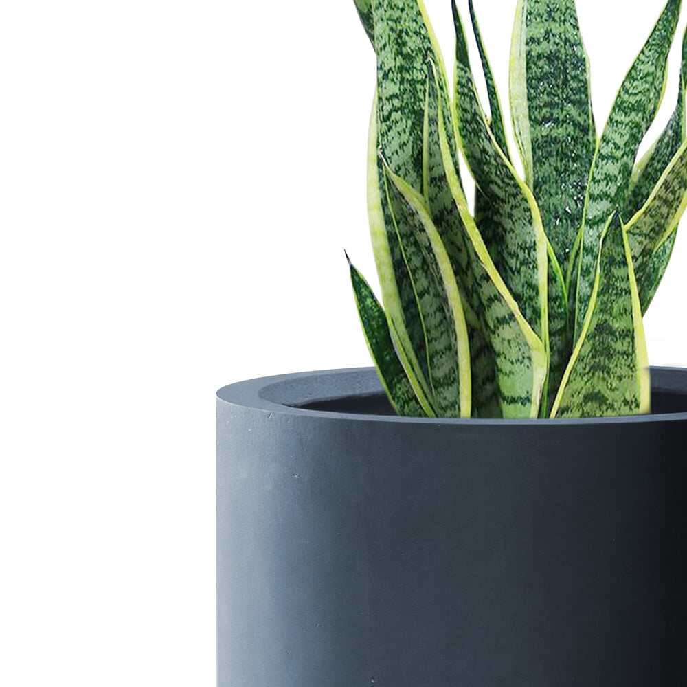 Kante planter in use with succulents illustrating healthy growth and visual impact