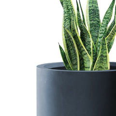 Kante planter in use with succulents illustrating healthy growth and visual impact