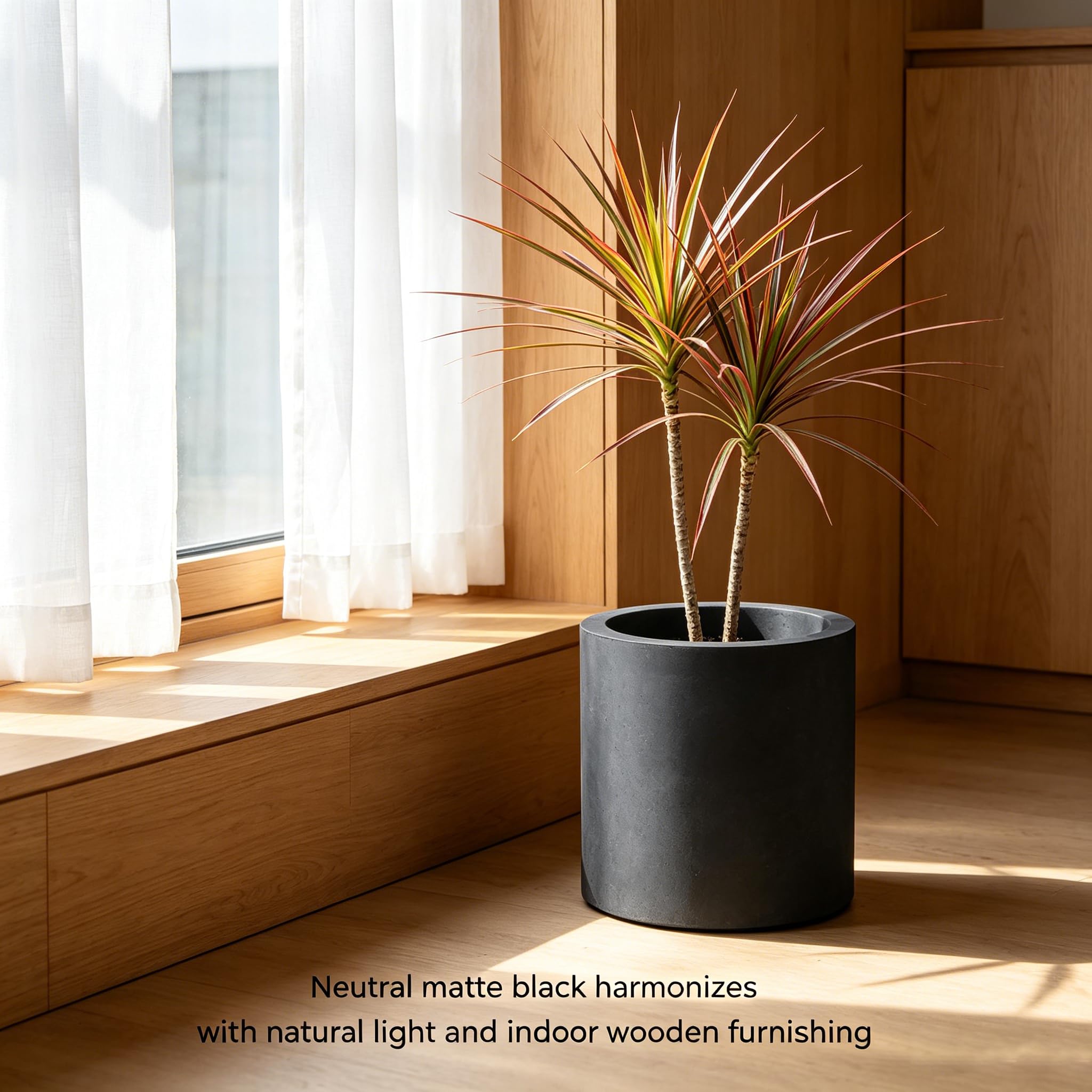 Kante planter with succulent planted top view demonstrating healthy root space