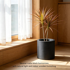 Kante planter with succulent planted top view demonstrating healthy root space