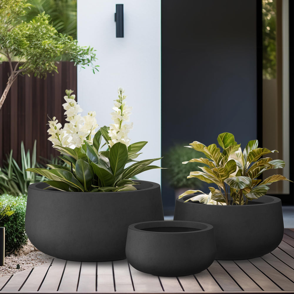 Kante planter filled with succulents illustrating stylish display and plant health