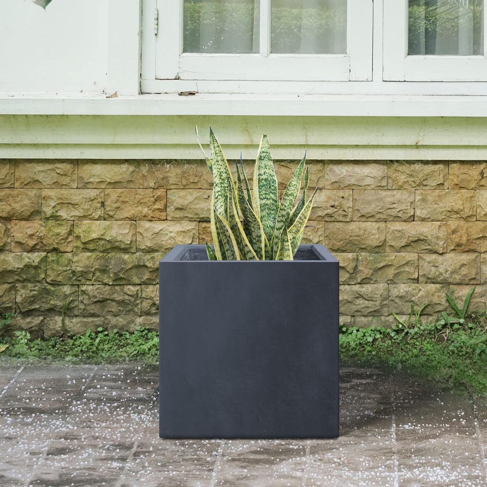 Kante planter styled with succulents indoors offering a low-maintenance decorative benefit