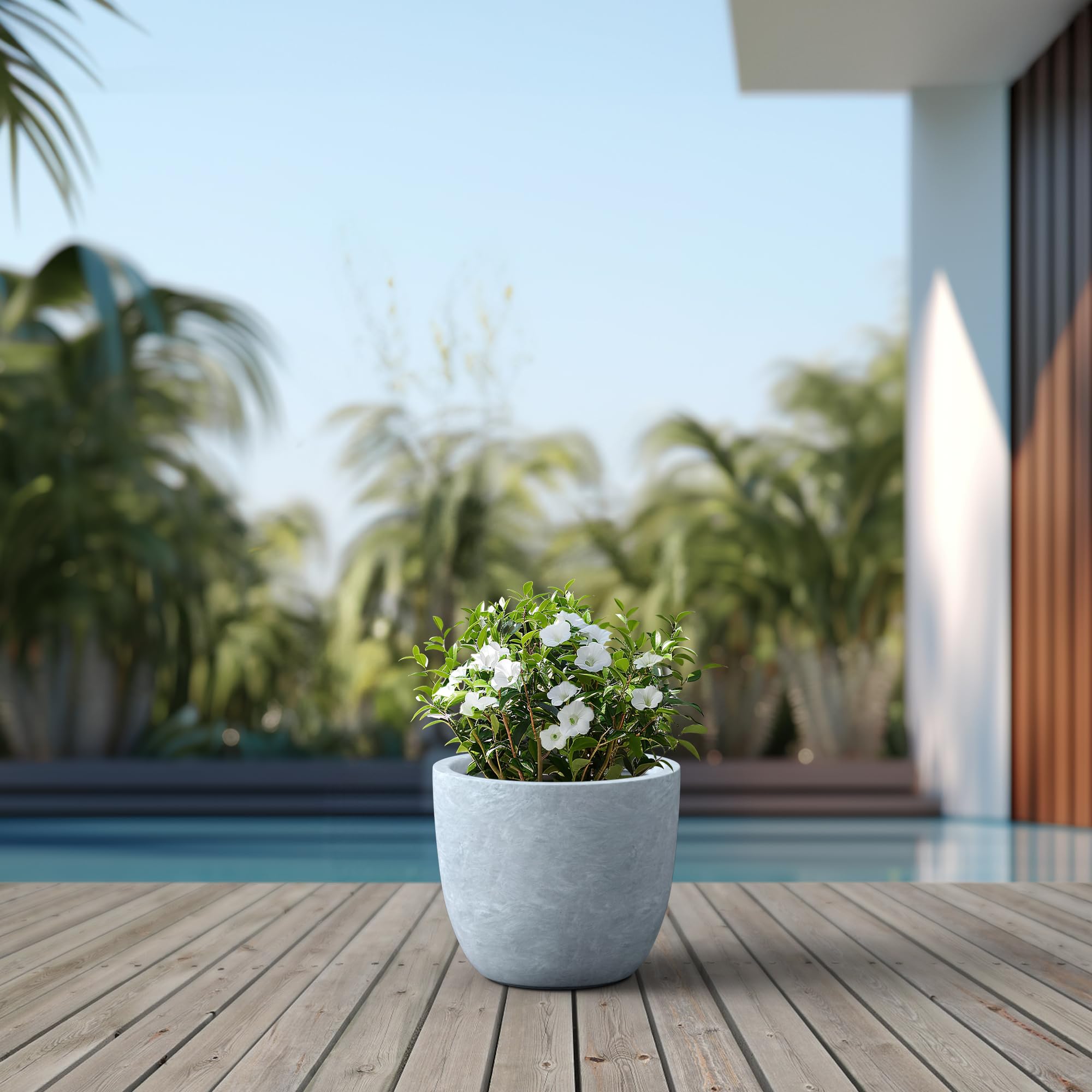 Kante planter styled with succulents demonstrating attractive planting arrangement